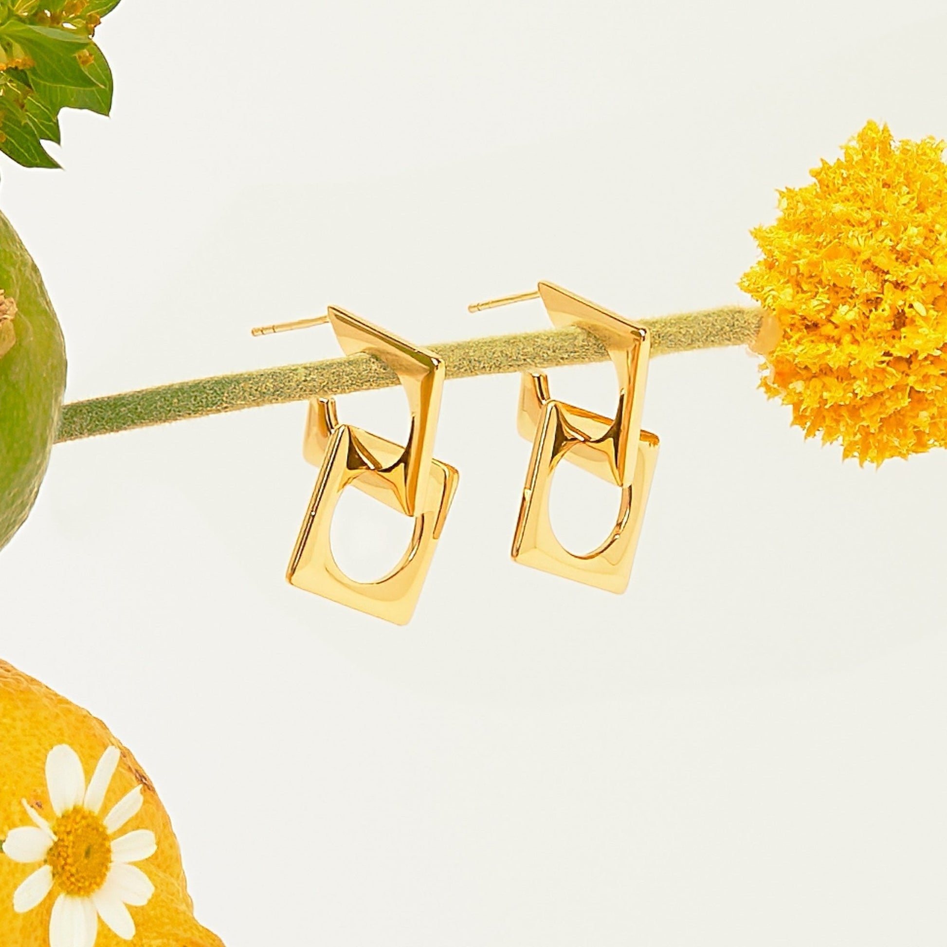 Wild & Free Earrings - LÚDERE